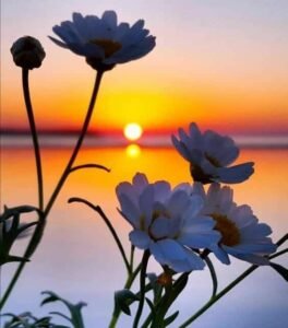 Pc Pinterest