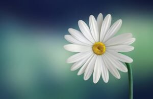 Pc Pixabay