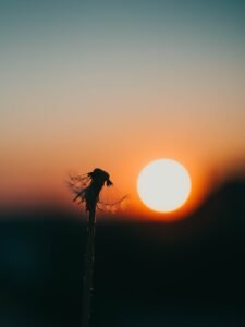 Pc Unsplash