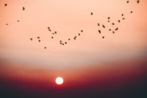 PC - Adobe Stock