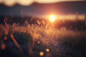 PC - Adobe Stock