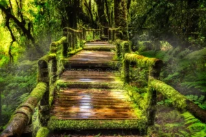 P.c. Dreamstime