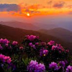 P.C. Pinterest