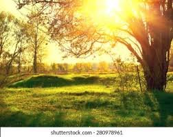 P.C shutterstock