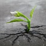 সংগ্ৰাম একুৰা জুই – অনন্ত কুমাৰ ভূঞা