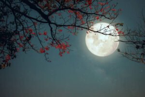 Pc- istock