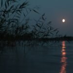 নিতাল নিপাত আজি ৰাতি – প্ৰবীণ কুমাৰ টায়ে 