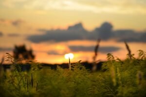 Pc Unsplash