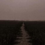 জীৱনৰ অন্তিম শয়নত  – ভাস্কৰ প্ৰিয়ম হাজৰিকা