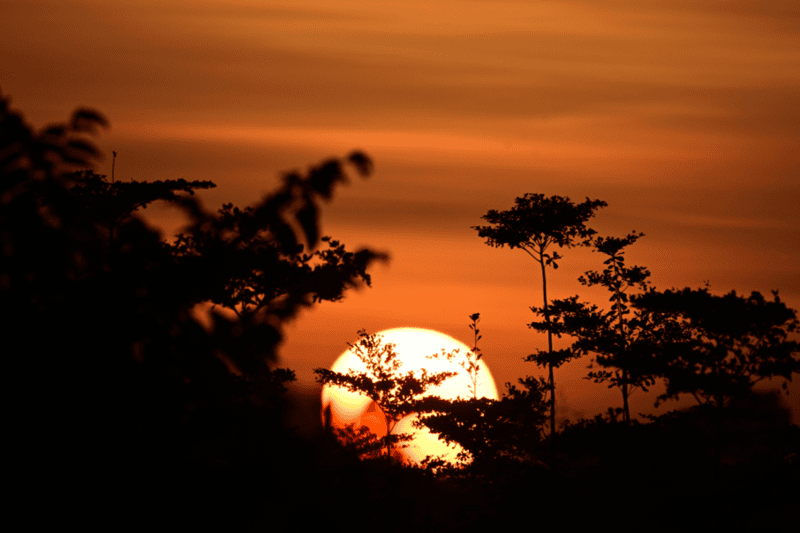 Pc ONE IN THE UNIVERSE