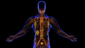 Pc Willis Knighton Health