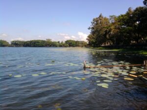 Pc- অসমীয়া ৱিকিপিডিয়া -Wikipedia