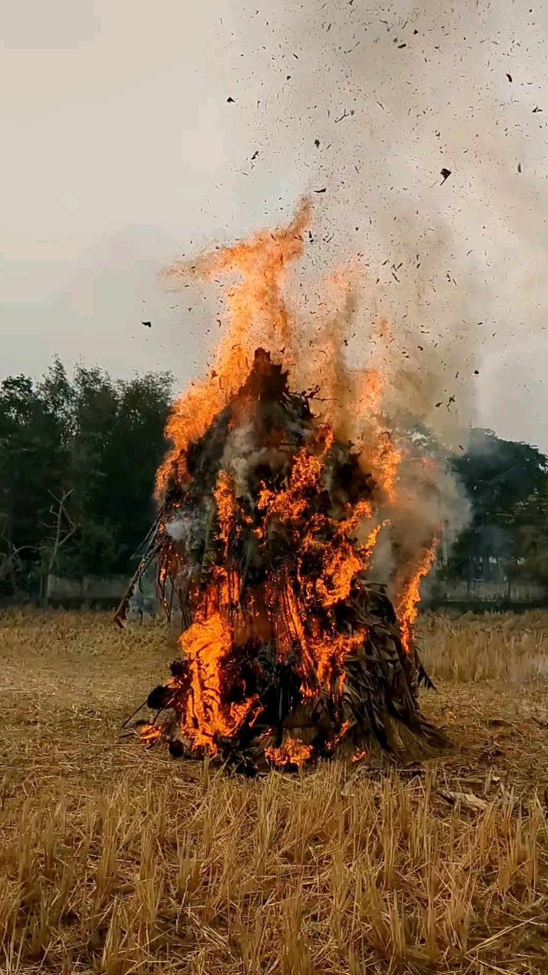 Pc Instagram ( GuwahatiPlus)