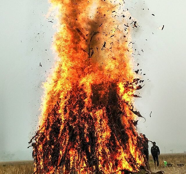 Pc- TheUnexplored Blog