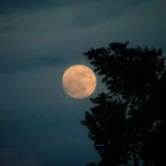 জোনৰ জোনাক – ৰূপালী গগৈ চুতীয়া