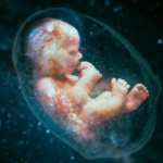 ভ্ৰূণ  – আয়শা ছিদ্দিকা