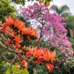  উতলা ফাগুন – নমিতা দাস