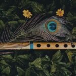 কৃষ্ণ আৰু ময়ূৰ পাখীৰ আধ্যাত্মিক তাৎপৰ্য – কানুপ্ৰিয়া ডেকা