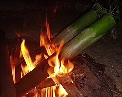 Pc Wikimedia Commons- Wikimedia.org