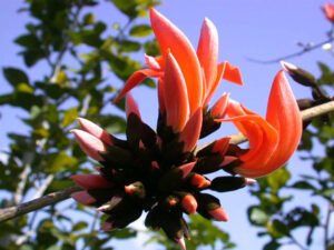 Pc bishalaxom-WordPress.com