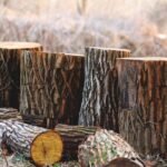 নিঃশব্দৰ কোলাহল – সুনম বিশ্বাস সাহা