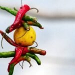 অন্ধবিশ্বাস আৰু কুসংস্কাৰ: এক সামাজিক ব্যাধি – দৰ্শনা দত্ত 