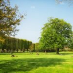 ৰাজহুৱা সম্পত্তি আৰু আমাৰ দায়ৱদ্ধতা – নিবেদিতা  হাজৰিকা