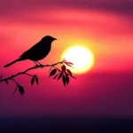 লিমাৰিক – ইভা গন্ধীয়া ফুকন 