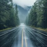 বৰষুণৰ দিনৰ নিস্তব্ধতা – কানুপ্ৰিয়া ডেকা