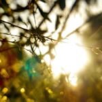 খবৰবোৰ বিয়পি পৰিল – জুনুকা পাঠক