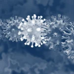 ক’ভিড ১৯ ৰ সময় চোৱাৰ কিছু পৰিৱৰ্তন – পপী বৰা 