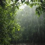 বৰষুণ হৈ নামিব – বনজিত দাস