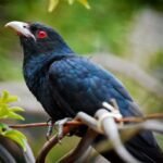 নতুনকৈ সজাব নোৱাৰিলো – প্ৰবীণ কুমাৰ টায়ে