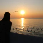 মই মোক দেখা নাই  – আয়শা ছিদ্দিকা