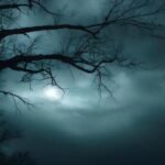 বিনিদ্ৰ ৰজনী – ৰীমা গায়ন বৰা 