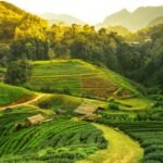 সাংস্কৃতিক পৰ্যটন: এক সম্ভাৱনাময় কেৰিয়াৰ পথ – ড° বুলজিৎ বুঢ়াগোহাঁই