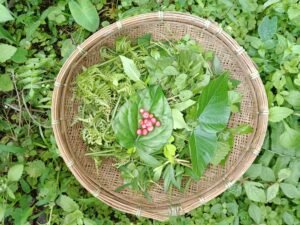 Pc অসমীয়া ৱিকিপিডিয়া-Wikipedia