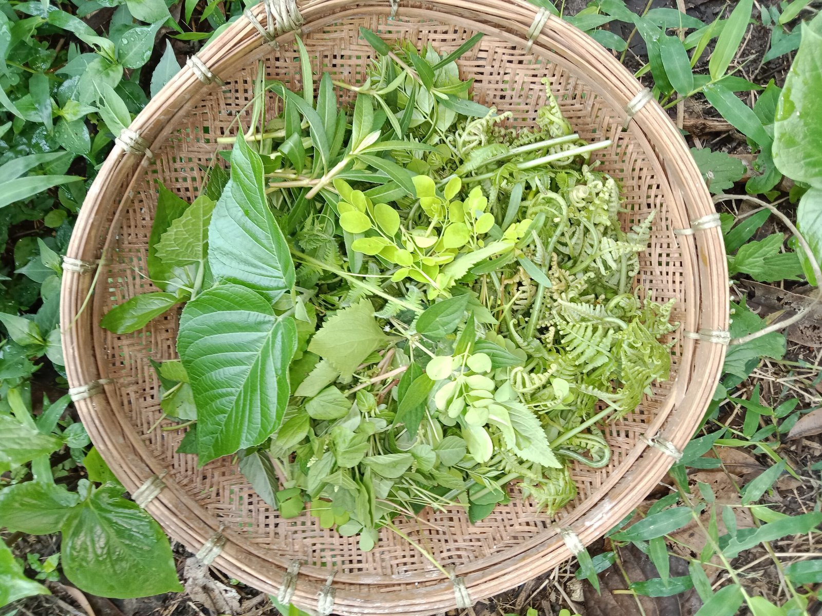 Pc অসমীয়া ৱিকিপিডিয়া- Wikipedia