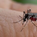 National Dengue Day and Public Awareness – Heramba Nath