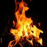 মেজি – বনজিত দাস 