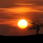 হেঁপাহৰ আবেলি – প্ৰান্তিক শৰ্মা