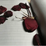 স্মৃতিৰ নিঃশব্দ গীত – নাচিমা য়াচমিন