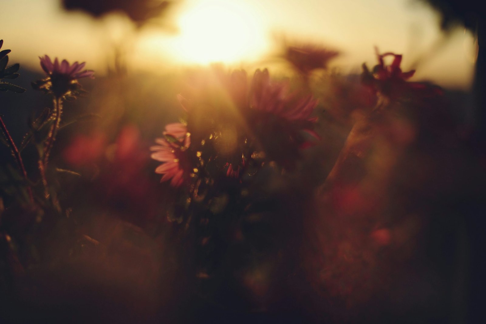 Pc Unsplash