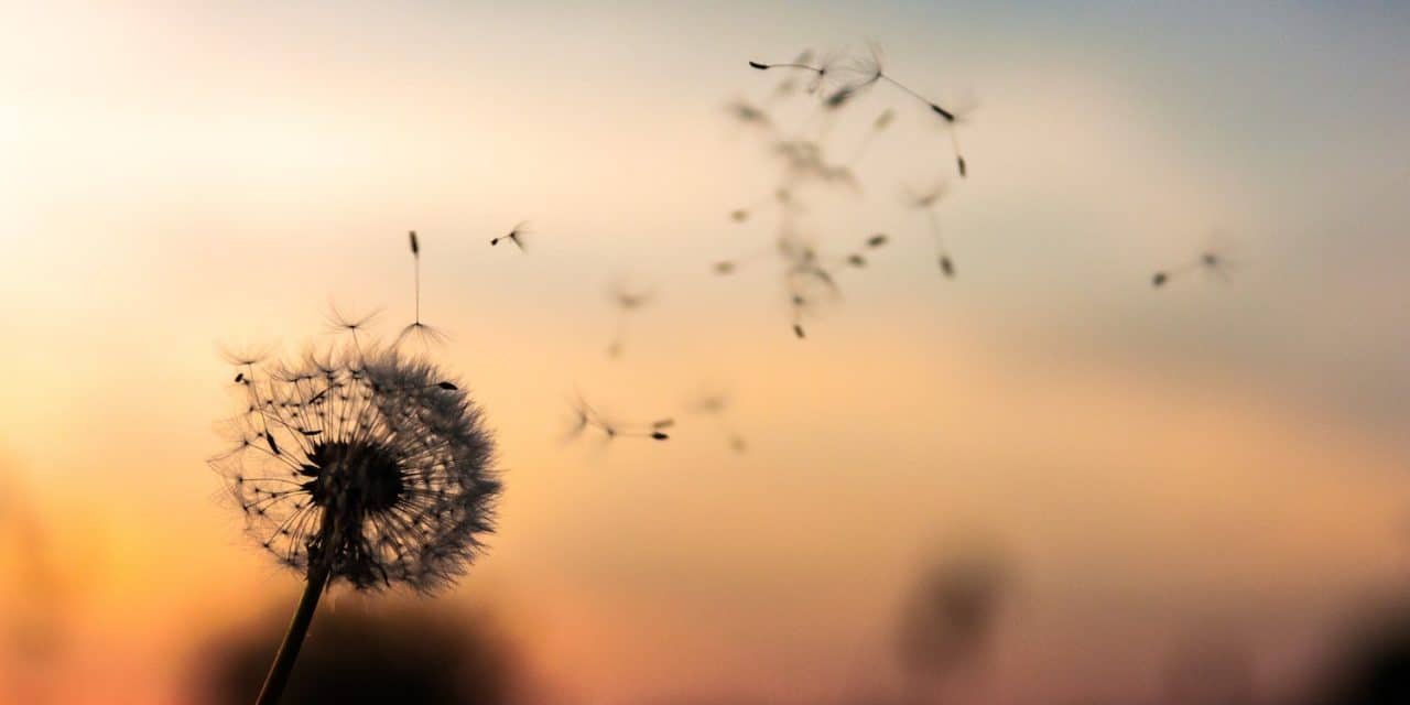 pc Simple Mindfulness