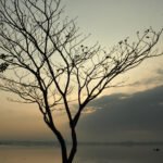 অনুৰণন – পূৰৱী হাজৰিকা