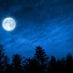 জোনাক নিশাৰ সৌন্দৰ্য্য – কানুপ্ৰিয়া ডেকা