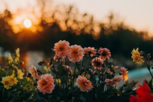 Pc Unsplash
