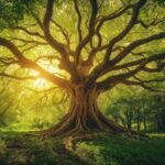 বাৰীৰ বৰ গছজোপা – সুনম বিশ্বাস সাহা