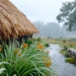 আপোন ঘৰখন – ৰশ্মি ৰেখা দুৱৰা