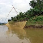 লিমাৰিক – উমা দেৱী